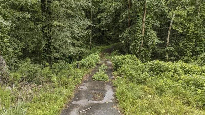 6733 Hwy 155 Stockbridge, GA 30281