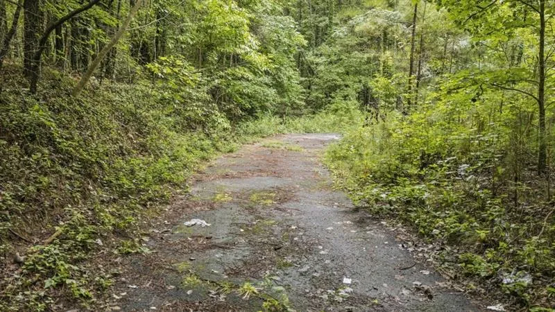 6733 Hwy 155 Stockbridge, GA 30281