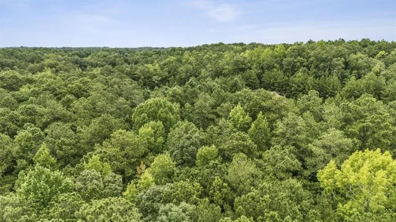 6733 Hwy 155 Stockbridge, GA 30281
