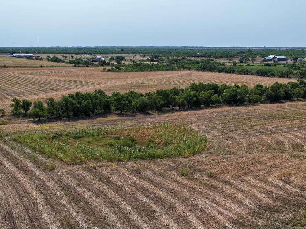 Potosi Rd Abilene, TX 79602