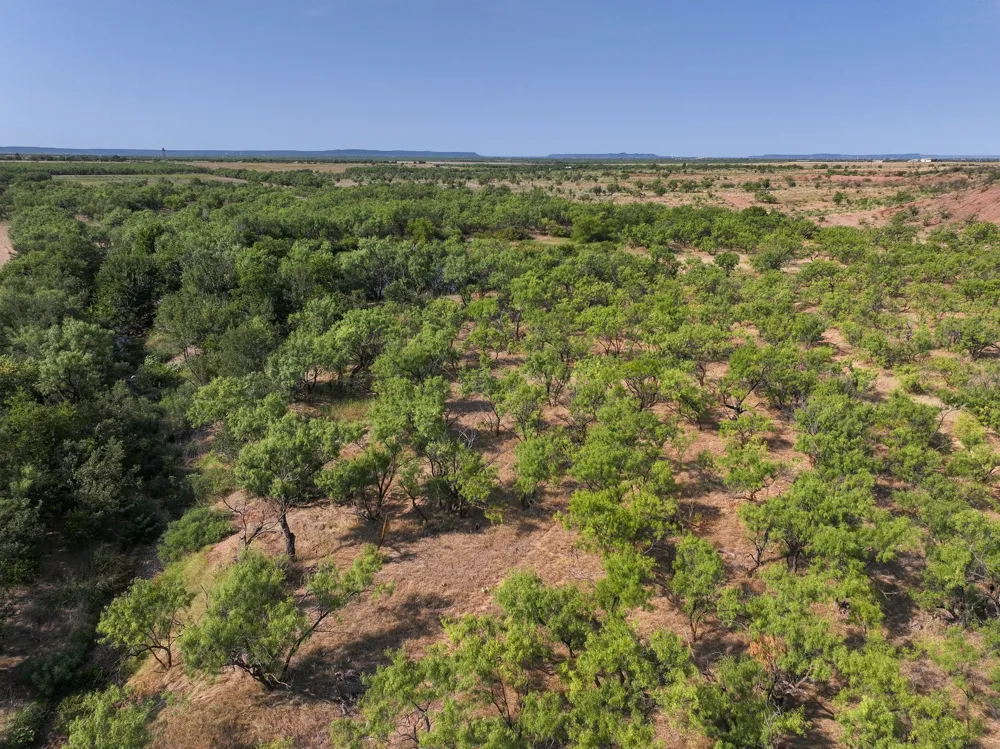 Potosi Rd Abilene, TX 79602