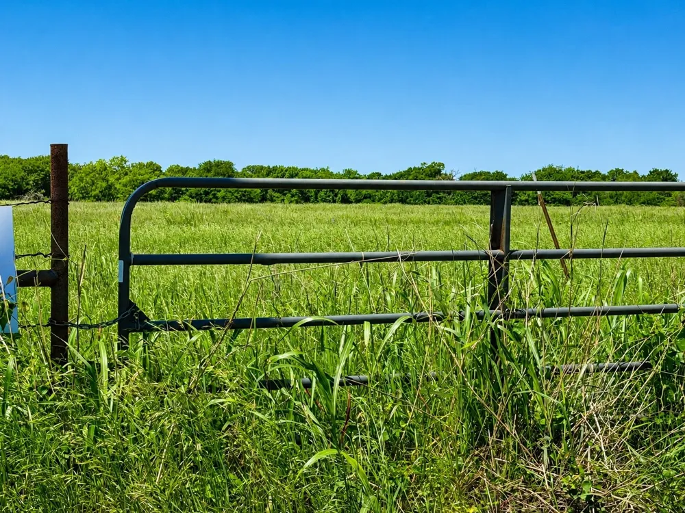CR 3561 Sulphur Bluff, TX 75481