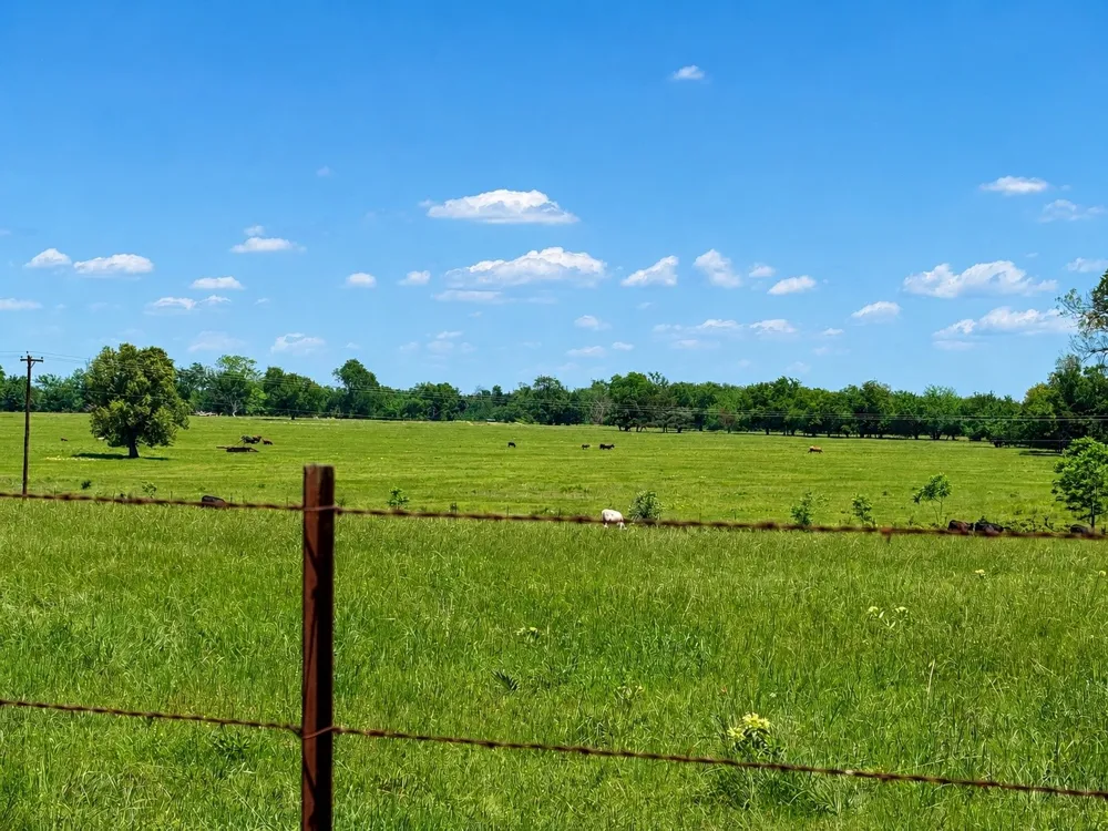 CR 3561 Sulphur Bluff, TX 75481