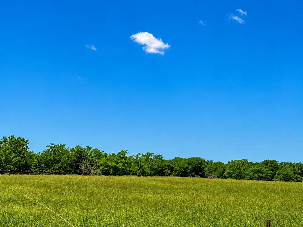 CR 3561 Sulphur Bluff, TX 75481