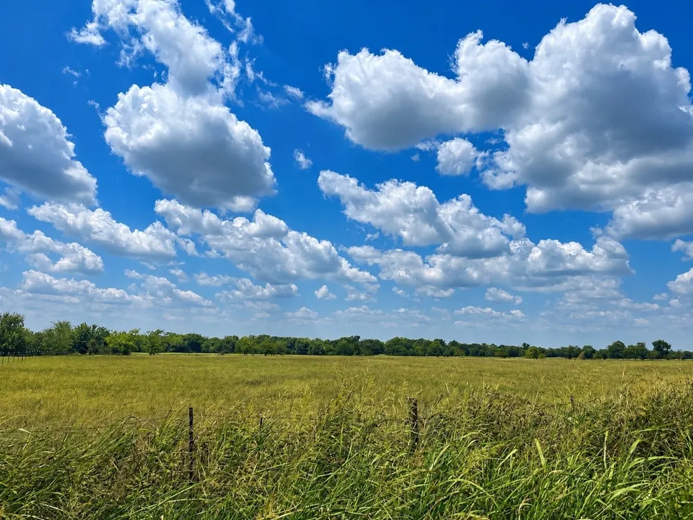 CR 3561 Sulphur Bluff, TX 75481