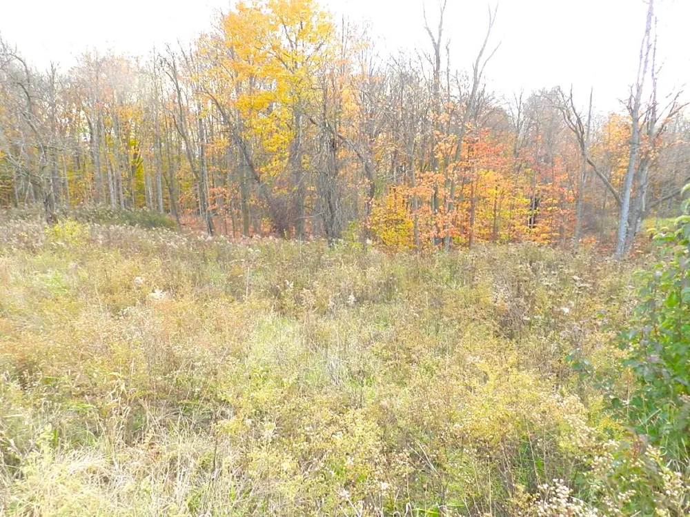 3991 Deja Drive St. Joseph, MI 49085