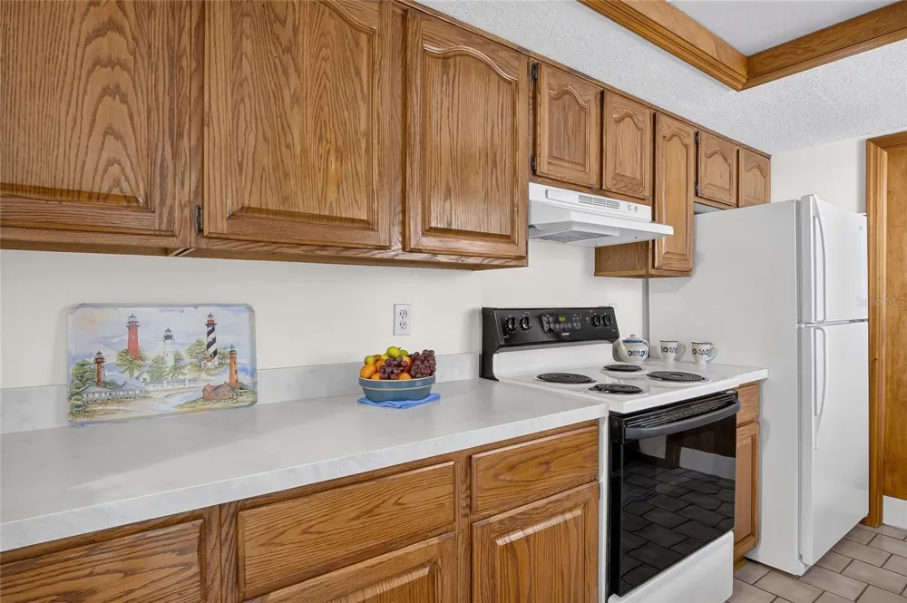 367 CASTLEWOOD LANE New Smyrna Beach, FL 32168