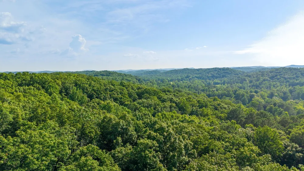 772 Rabbit Valley Road NW Cleveland, TN 37312