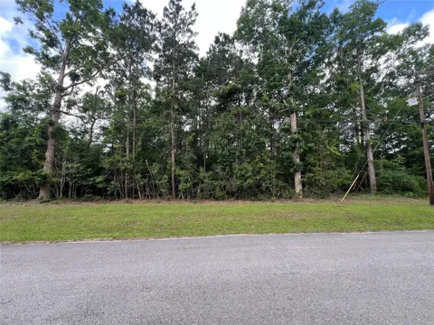 319 Lost Lake Trail