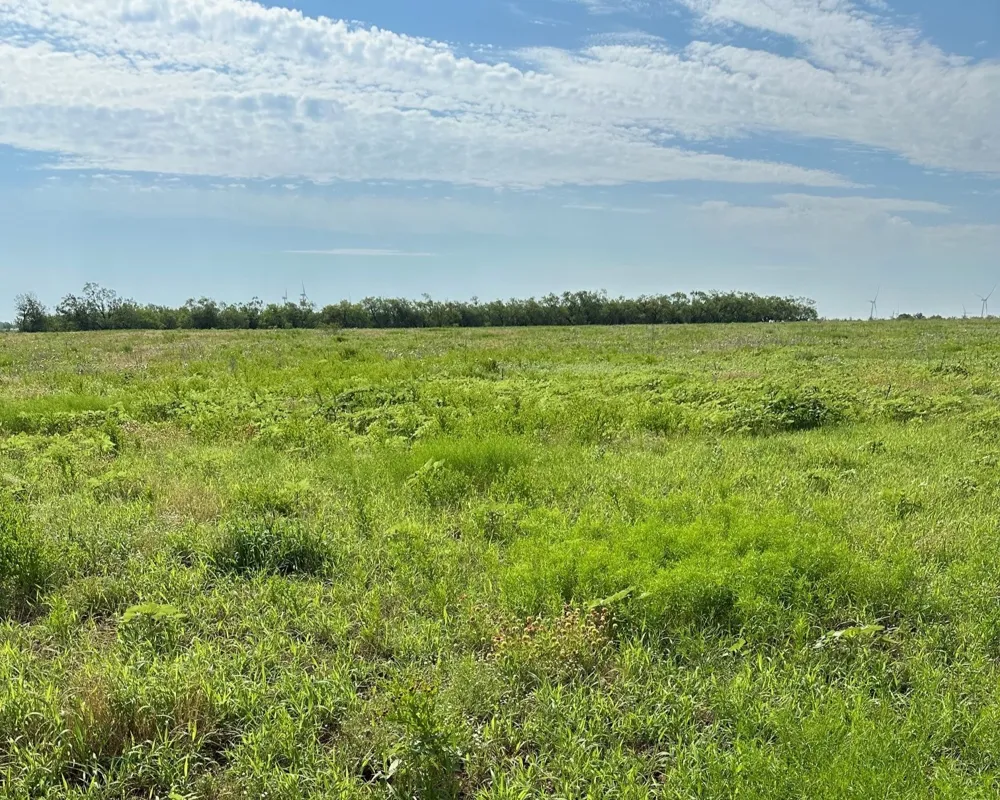 CR 105 Abilene, TX 79601