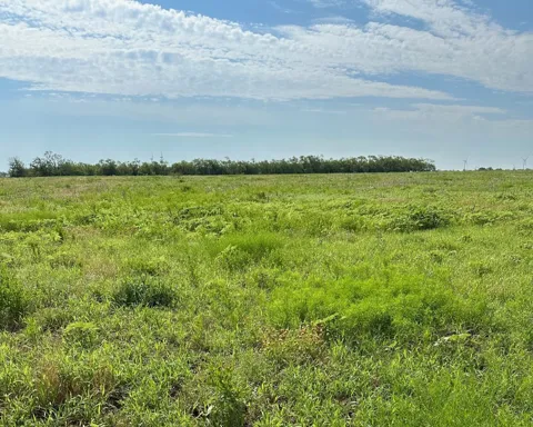 CR 105