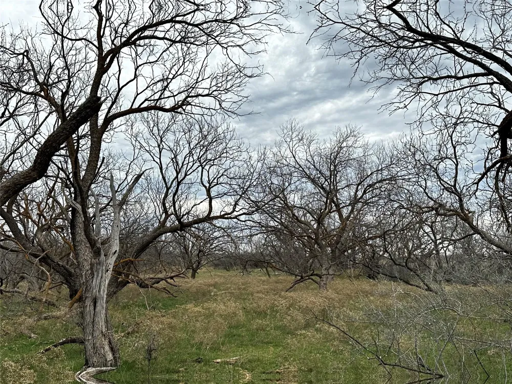 CR 105 Abilene, TX 79601