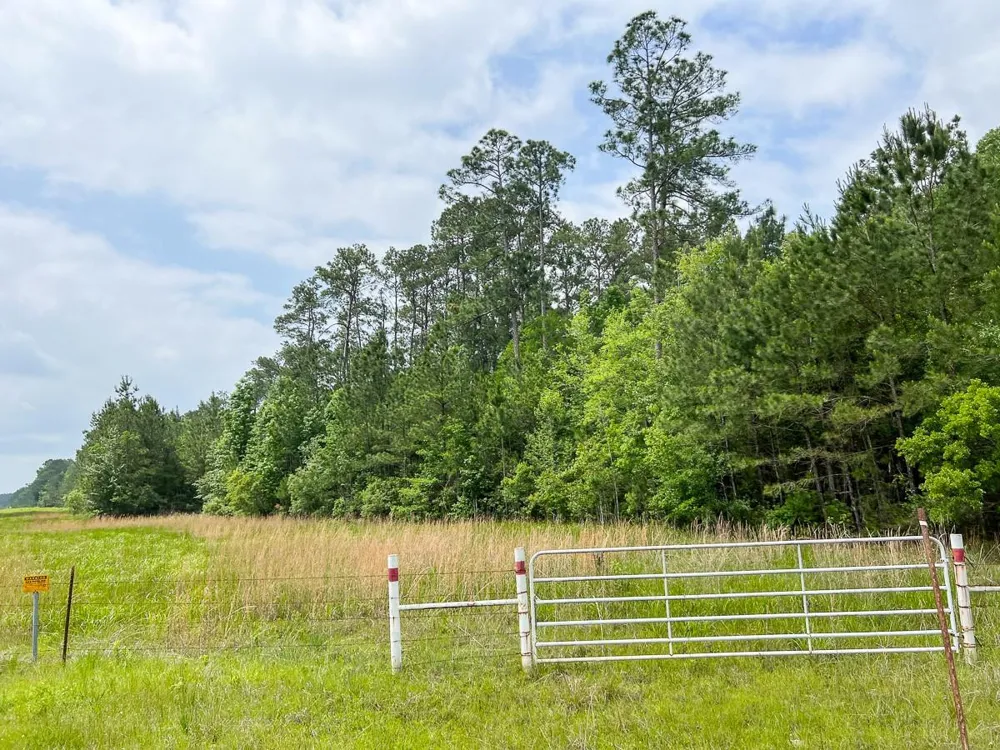 1 Fm 2937 Silsbee, TX 77656