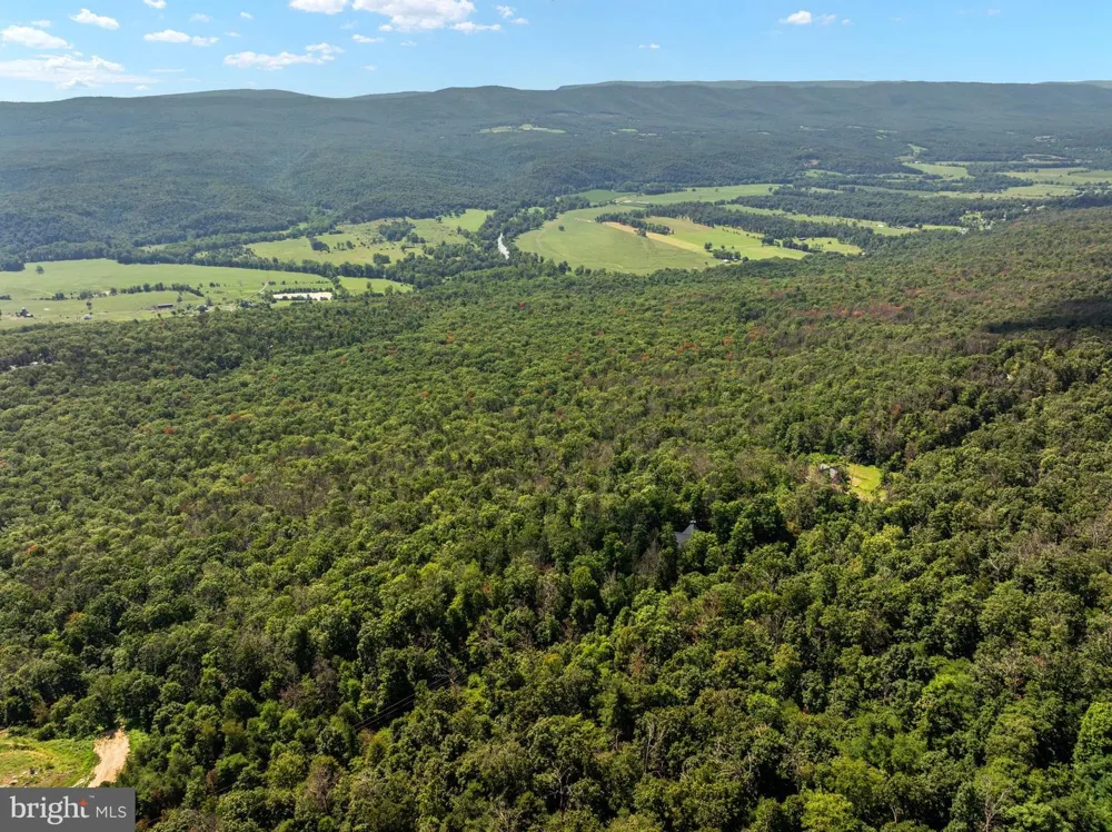 537 LOWER FLATS DRIVE Yellow Spring, WV 26865