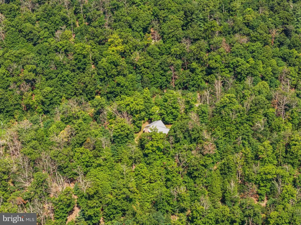 537 LOWER FLATS DRIVE Yellow Spring, WV 26865
