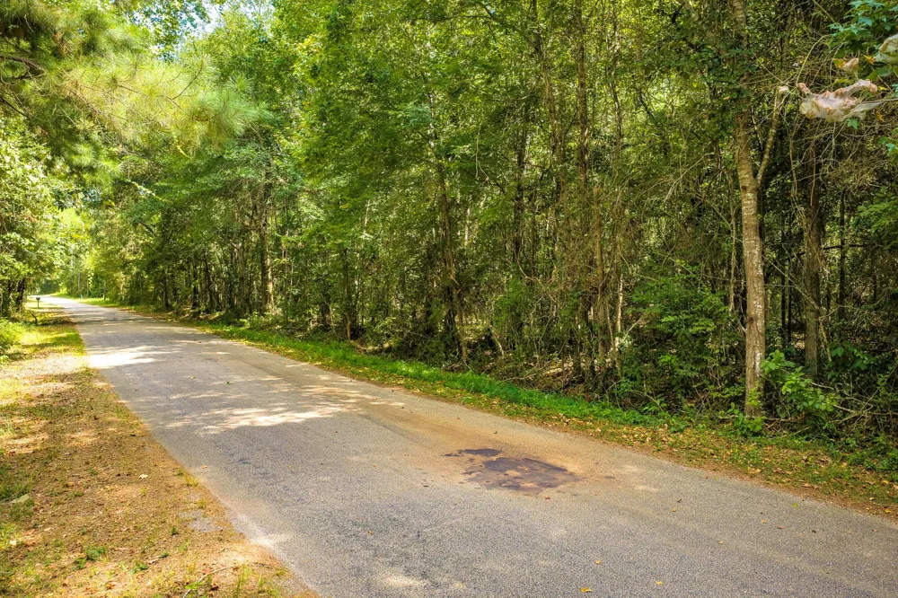 Cr 4120 Woodville, TX 75979