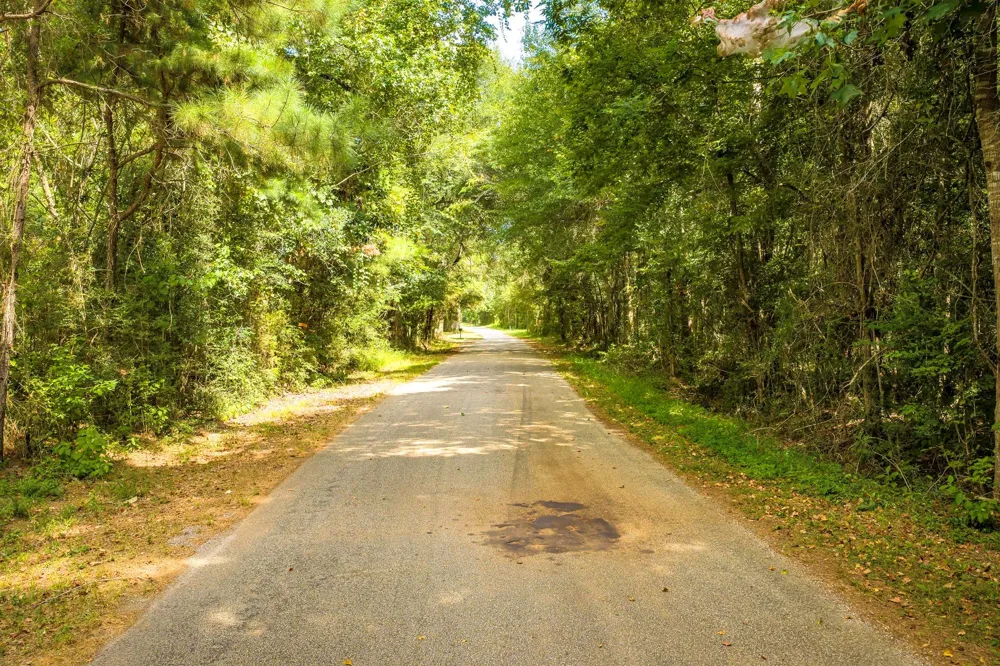 Cr 4120 Woodville, TX 75979