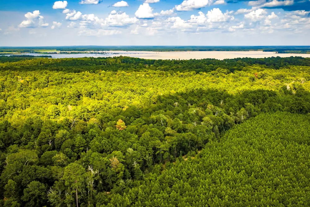 Cr 4120 Woodville, TX 75979
