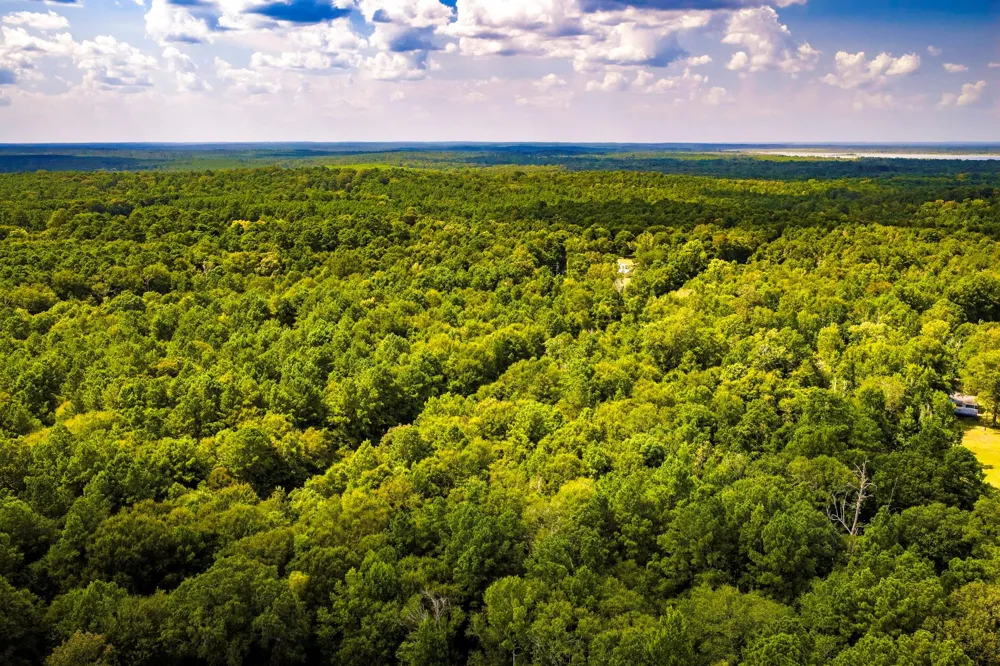 Cr 4120 Woodville, TX 75979