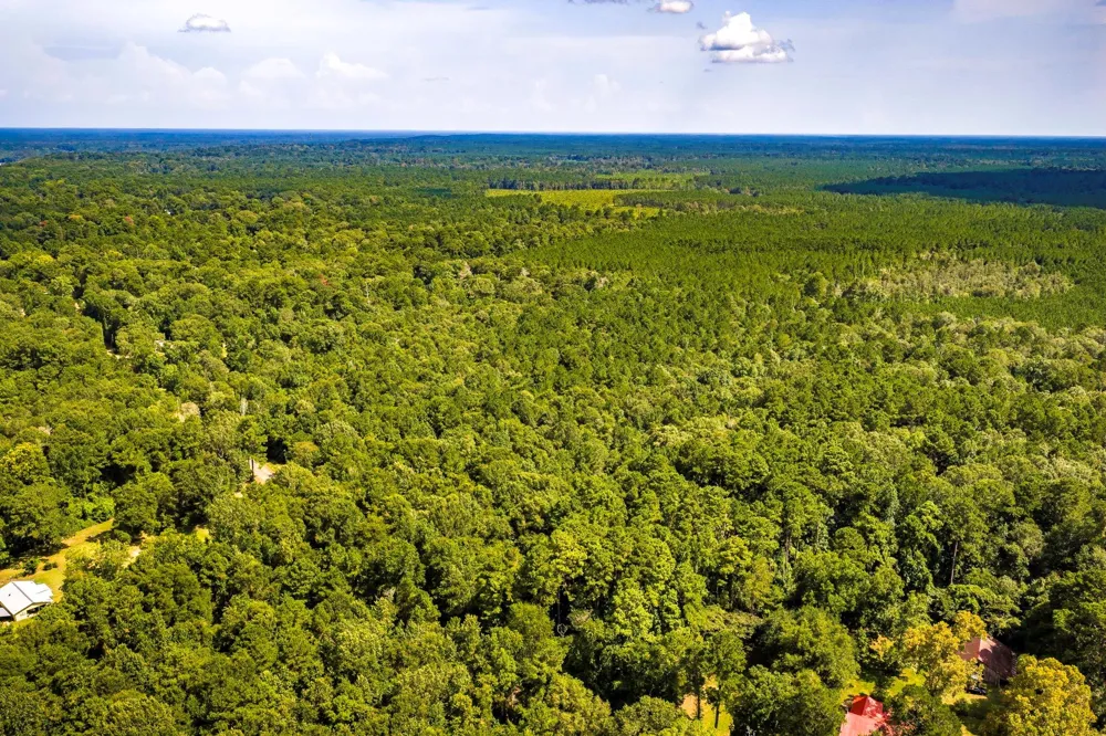 Cr 4120 Woodville, TX 75979