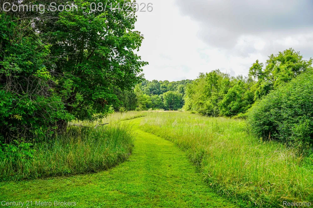 8294 Davison Road Davison Township, MI 48423