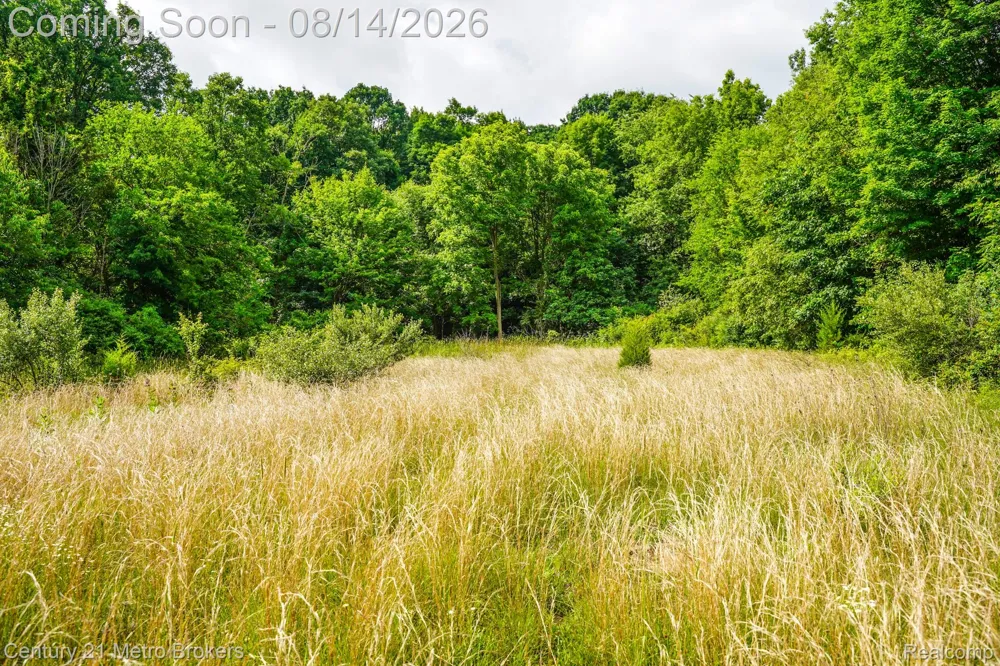 8294 Davison Road Davison Township, MI 48423