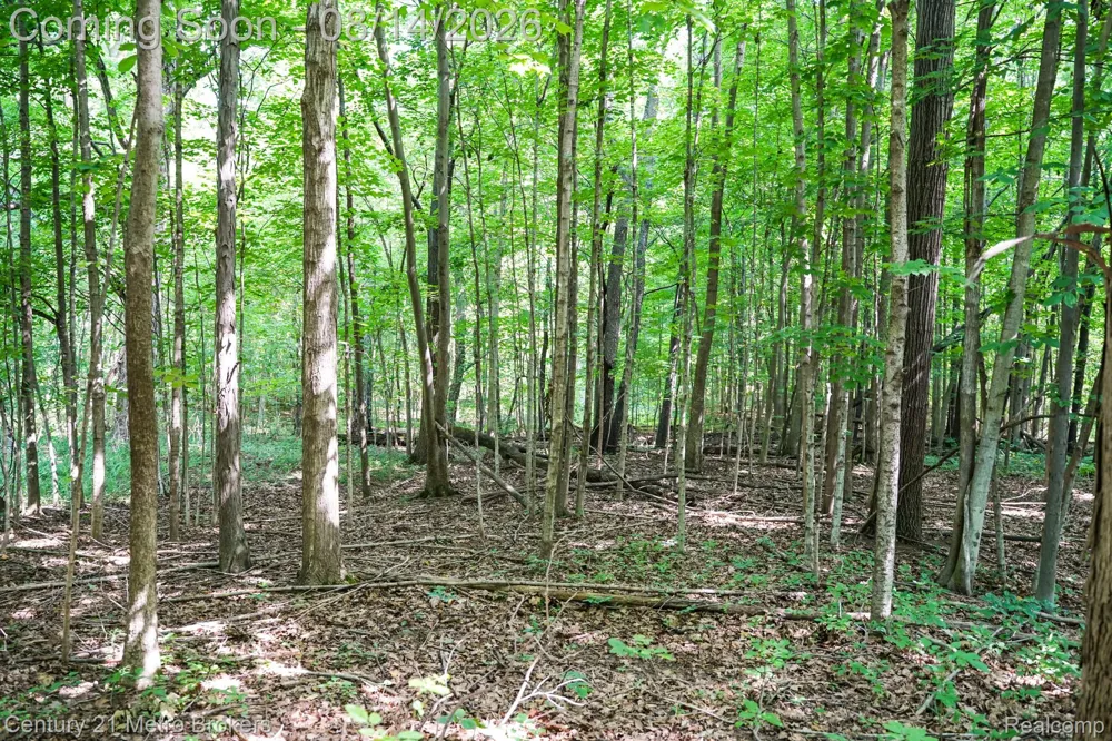 8294 Davison Road Davison Township, MI 48423