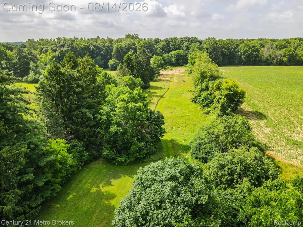 8294 Davison Road Davison Township, MI 48423