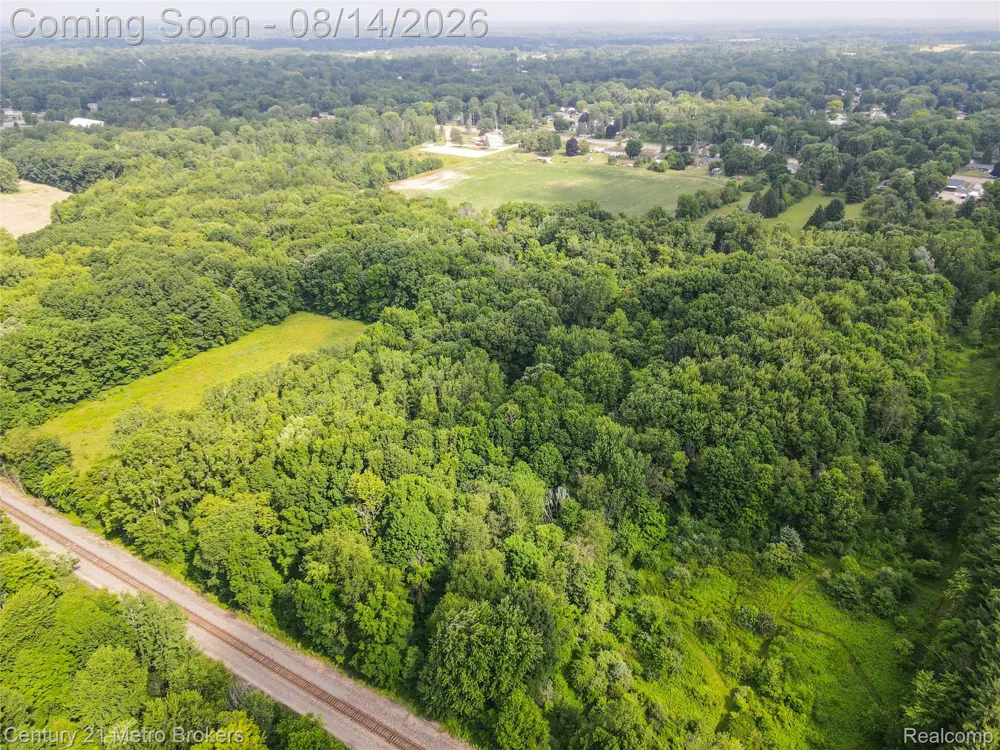 8294 Davison Road Davison Township, MI 48423