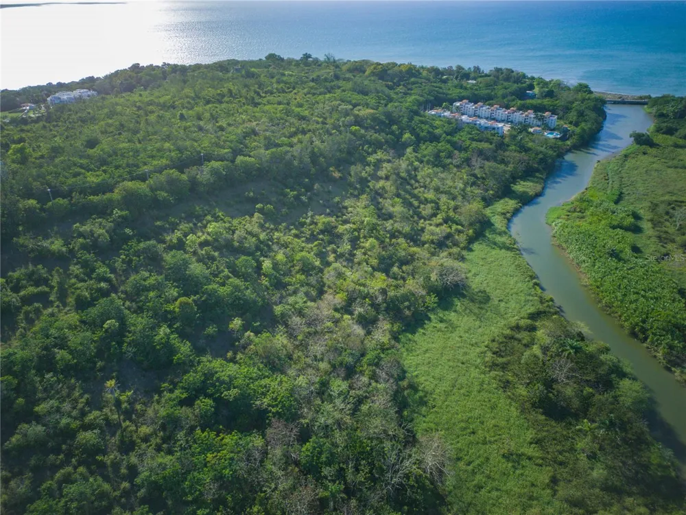 102 KM 8.2, GUANAJIBO WARD ROAD #C-6 Cabo Rojo, PR 00623