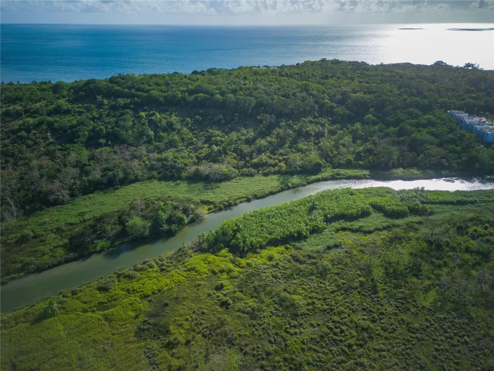 102 KM 8.2, GUANAJIBO WARD ROAD #C-6 Cabo Rojo, PR 00623