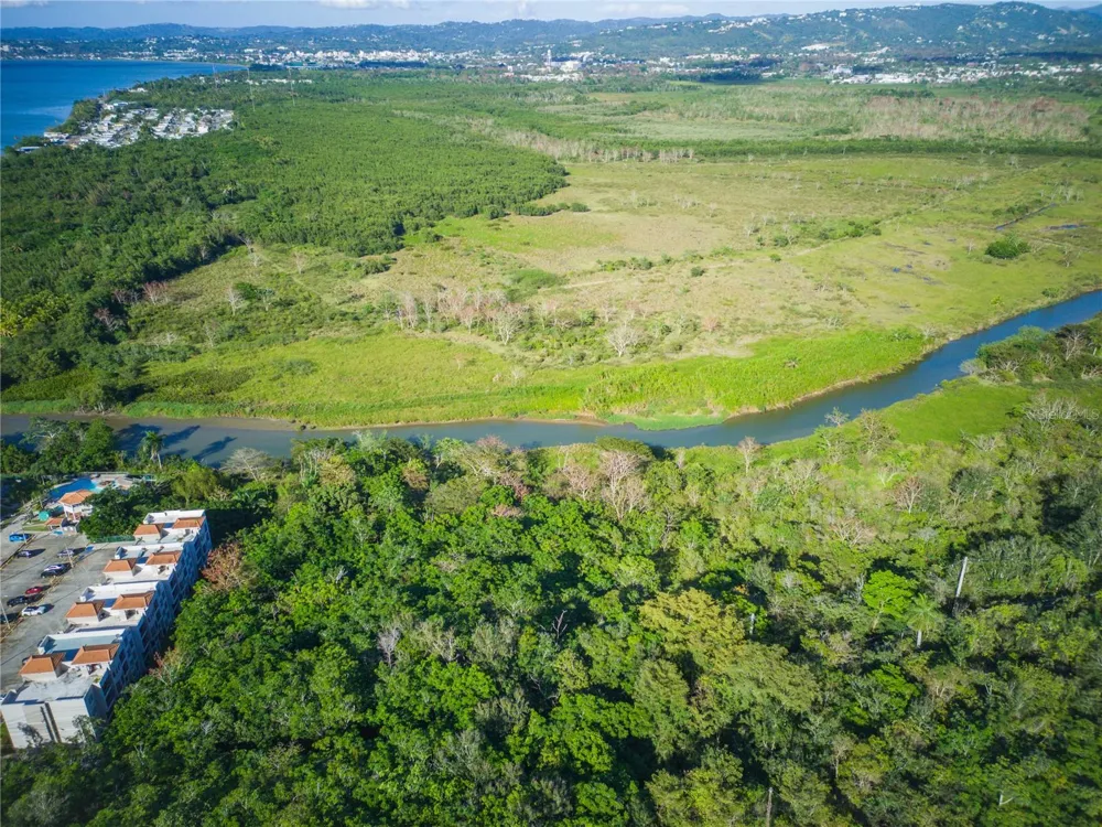 102 KM 8.2, GUANAJIBO WARD ROAD #C-3 Cabo Rojo, PR 00623