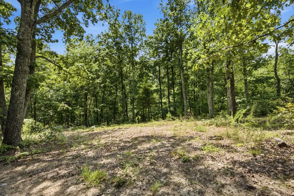 Pete Graham Road Jasper, TN 37347