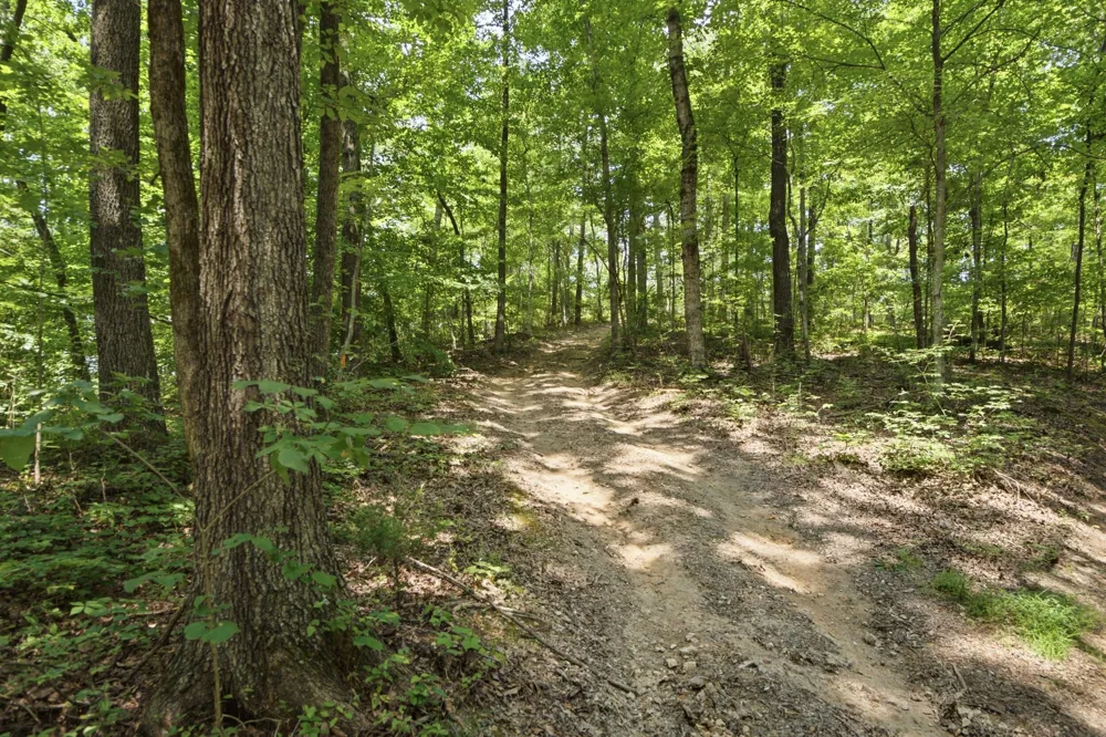 Pete Graham Road Jasper, TN 37347
