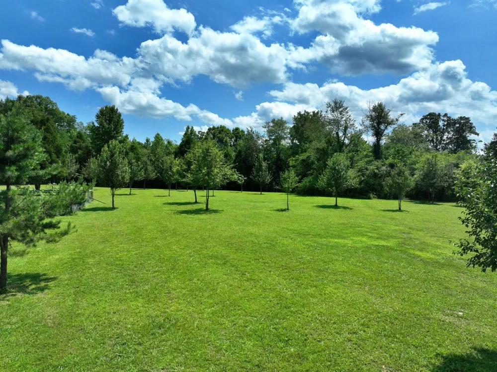 5858 Wolf Creek Road Spring City, TN 37381