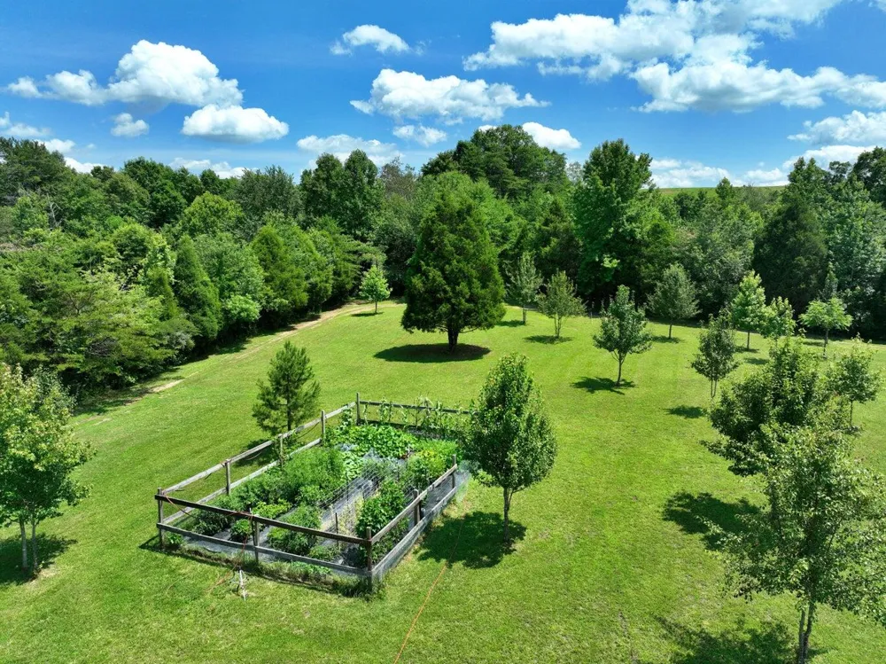 5858 Wolf Creek Road Spring City, TN 37381
