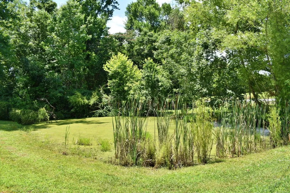 5858 Wolf Creek Road Spring City, TN 37381