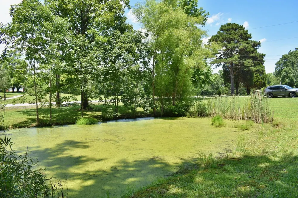 5858 Wolf Creek Road Spring City, TN 37381