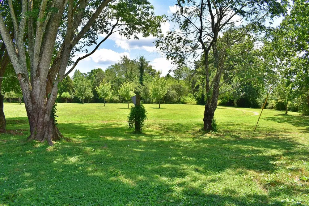 5858 Wolf Creek Road Spring City, TN 37381