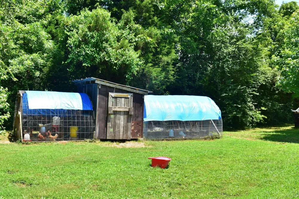 5858 Wolf Creek Road Spring City, TN 37381