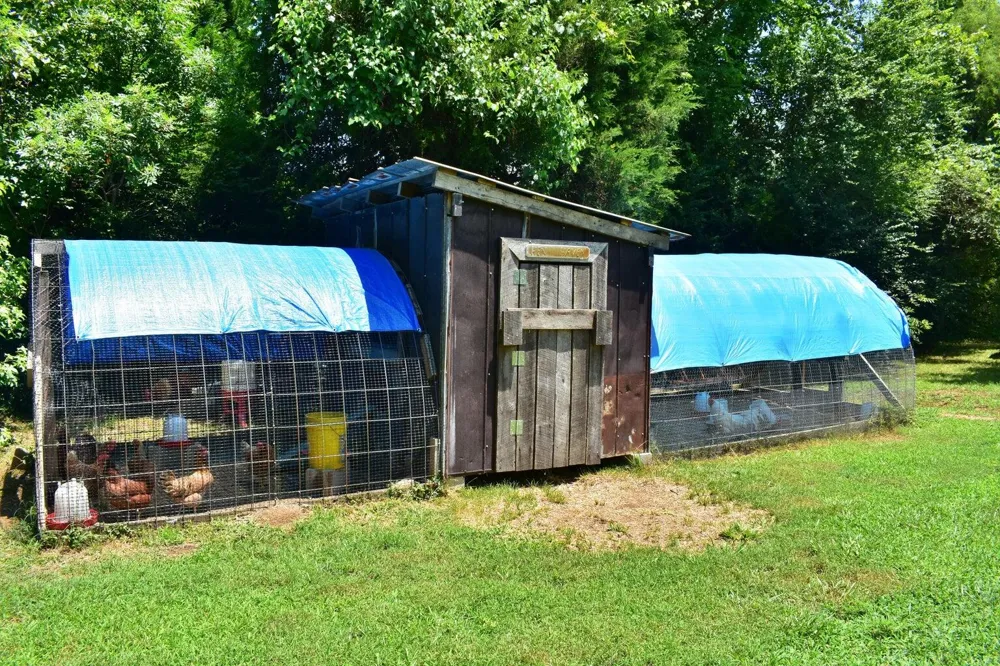 5858 Wolf Creek Road Spring City, TN 37381
