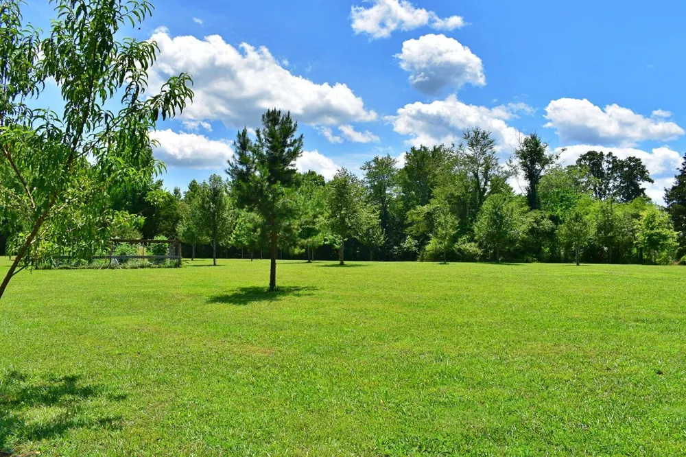 5858 Wolf Creek Road Spring City, TN 37381