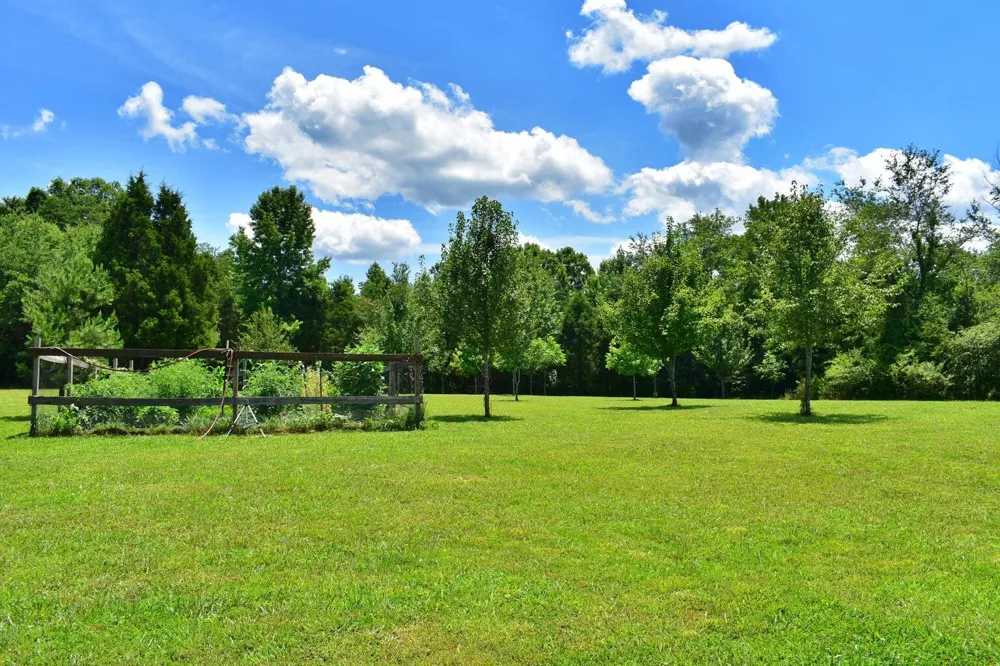5858 Wolf Creek Road Spring City, TN 37381