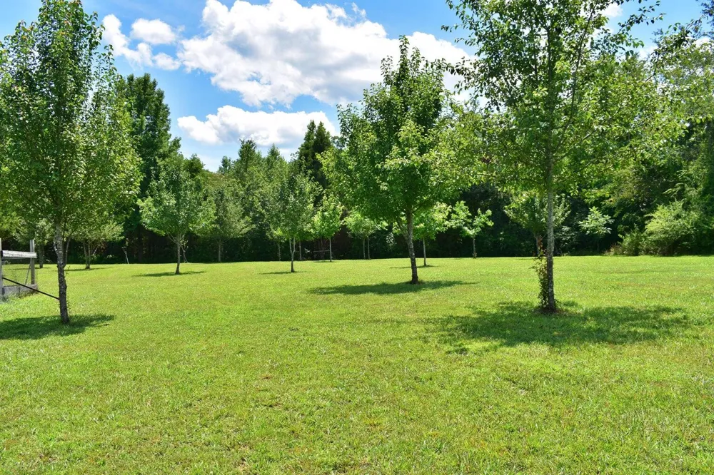 5858 Wolf Creek Road Spring City, TN 37381