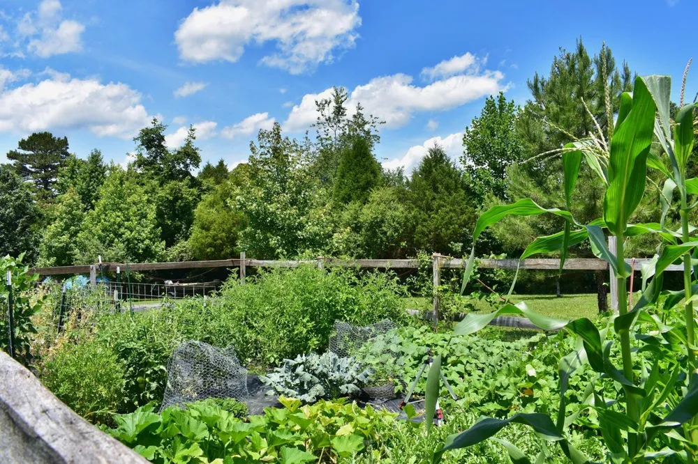 5858 Wolf Creek Road Spring City, TN 37381
