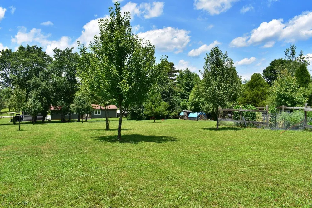 5858 Wolf Creek Road Spring City, TN 37381