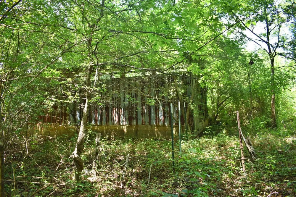 5858 Wolf Creek Road Spring City, TN 37381