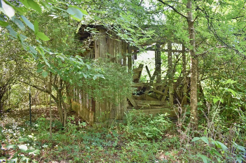 5858 Wolf Creek Road Spring City, TN 37381
