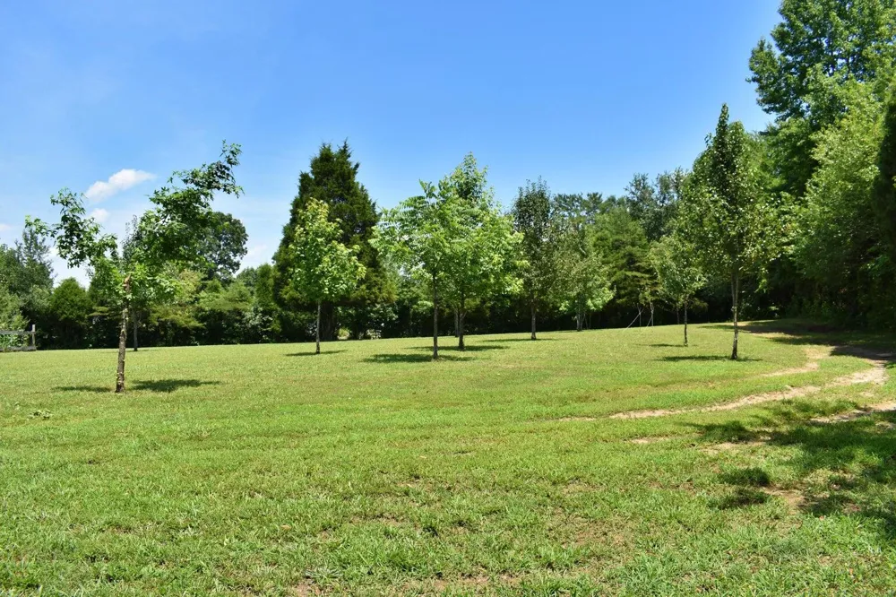 5858 Wolf Creek Road Spring City, TN 37381