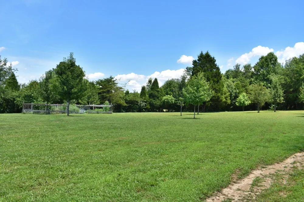 5858 Wolf Creek Road Spring City, TN 37381